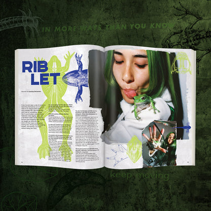 Issue 8 - Winter 2026